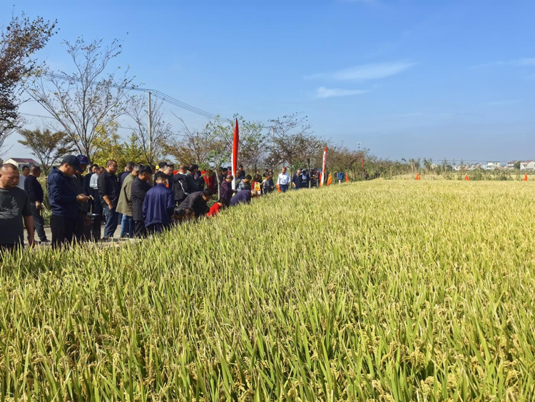 WPS圖片(2).png WPS圖片(2).png